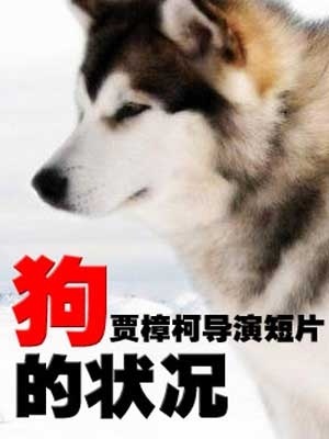 ,《狗的状况》海报