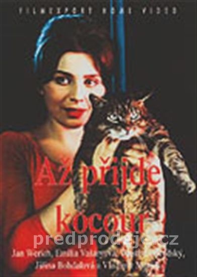 一日一猫 海报,《Az prijde kocour》海报