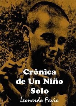,《Crónica de un niño solo》海报