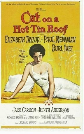 ,《Cat on a Hot Tin Roof》海报