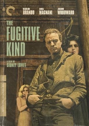 ,《The Fugitive Kind》海报