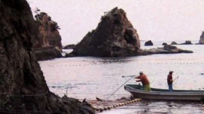 ,《The Cove》图集
