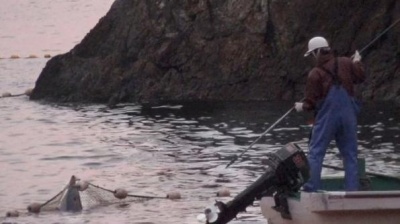 ,《The Cove》图集