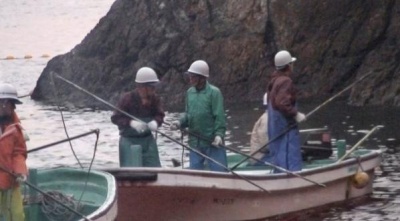 ,《The Cove》图集