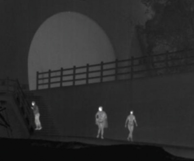 ,《The Cove》图集