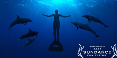 ,《The Cove》图集