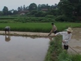 ,《阴阳界》海报