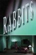 Rabbits/兔子