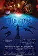 The Cove/海豚湾
